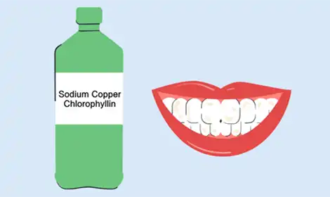 Top Benefits of Using Sodium Copper Chlorophyllin Powder in Oral Care Products (Toothpaste & Mouthwash)